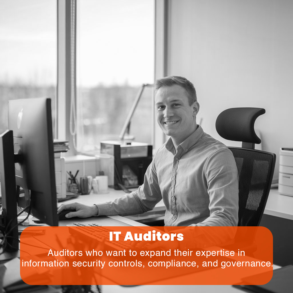 IT-auditors