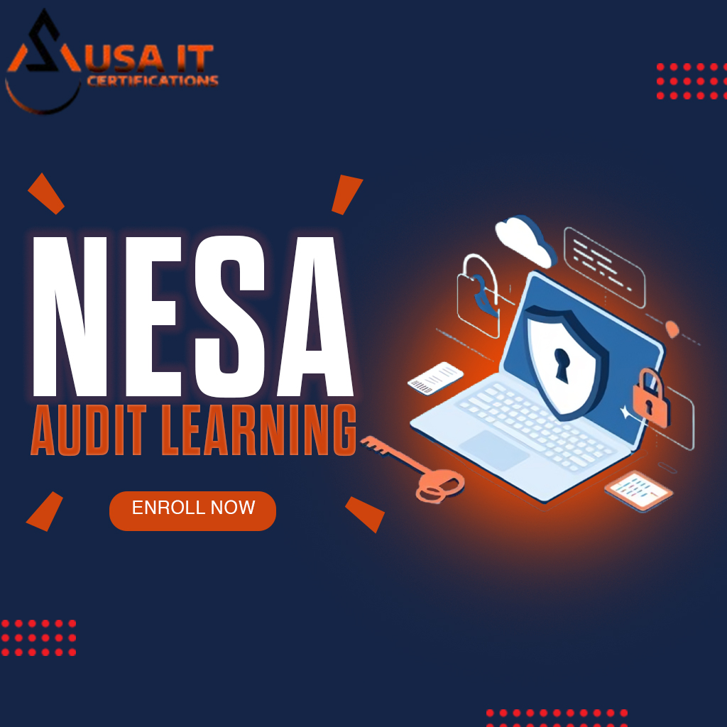 Nesa audit learning