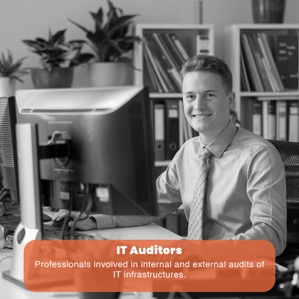 it-auditors